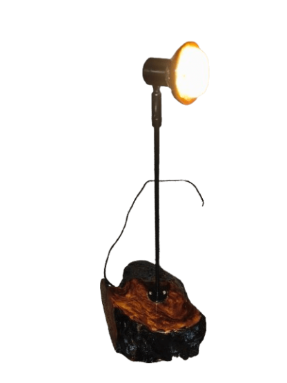 Swamp Kauri Gum DeskLamp - Image 6