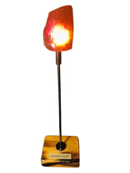 Swamp Kauri Gum DeskLamp - Image 3