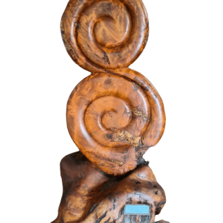 Infinity Koru