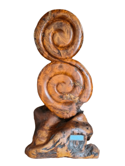 Infinity Koru