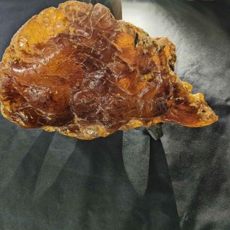 1k A grade Kauri Gum