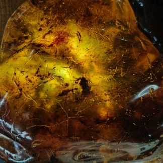 Large A grade Kauri gum light feature (NZ amber)