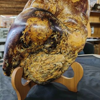 5Kg Large Kauri Gum bolder NZ amber