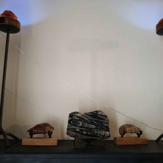 Twin Kauri Gum Lamps