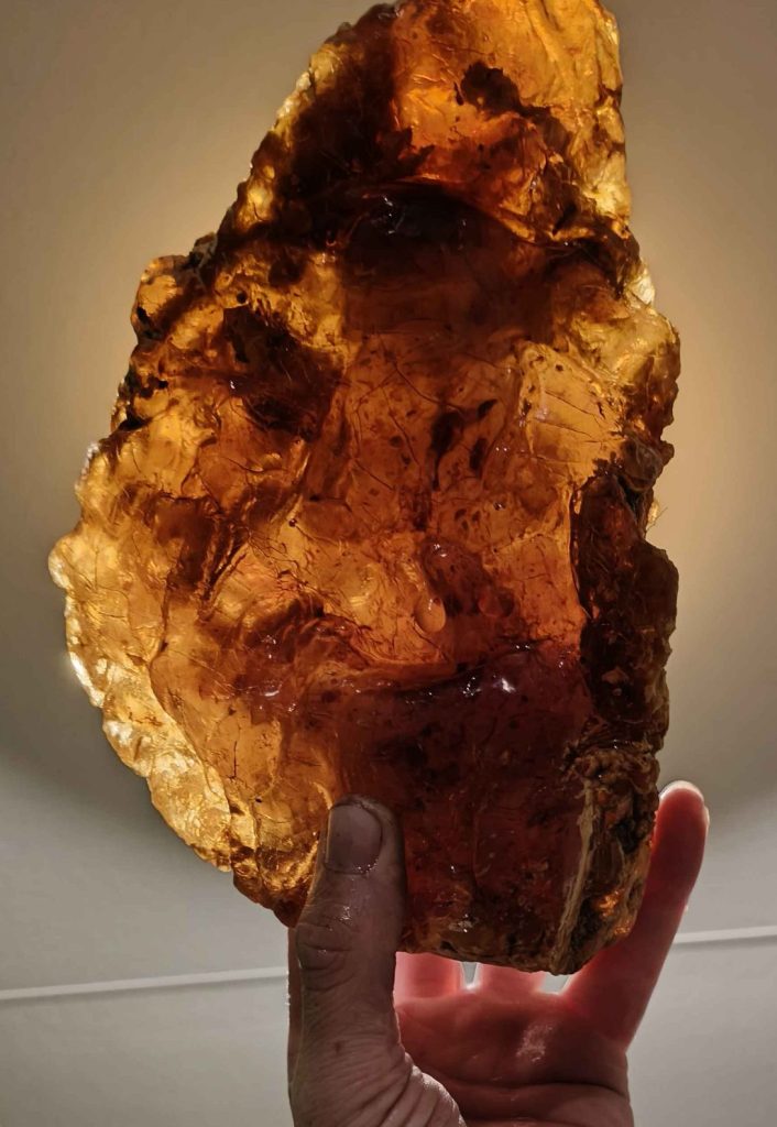 ancient swamp Kauri Gum New Zealand amber