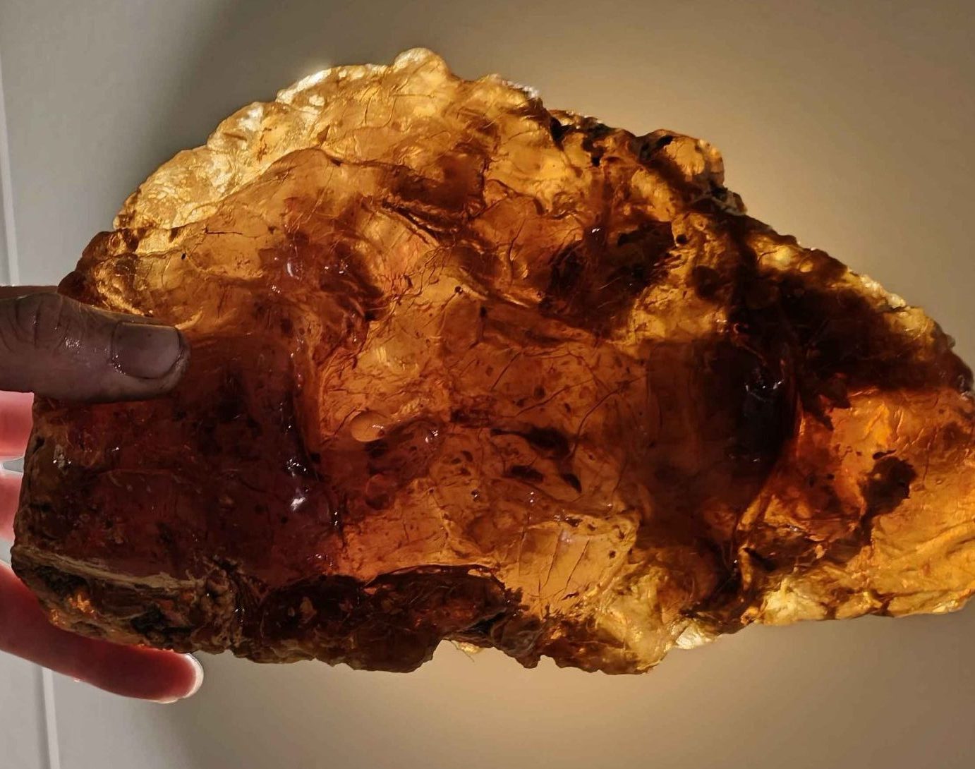 ancient swamp Kauri Gum New Zealand amber