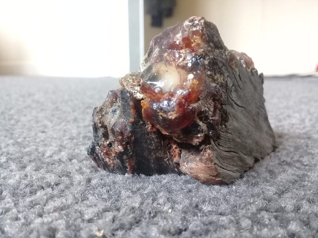 Kauri timber with Kauri gum attatched
