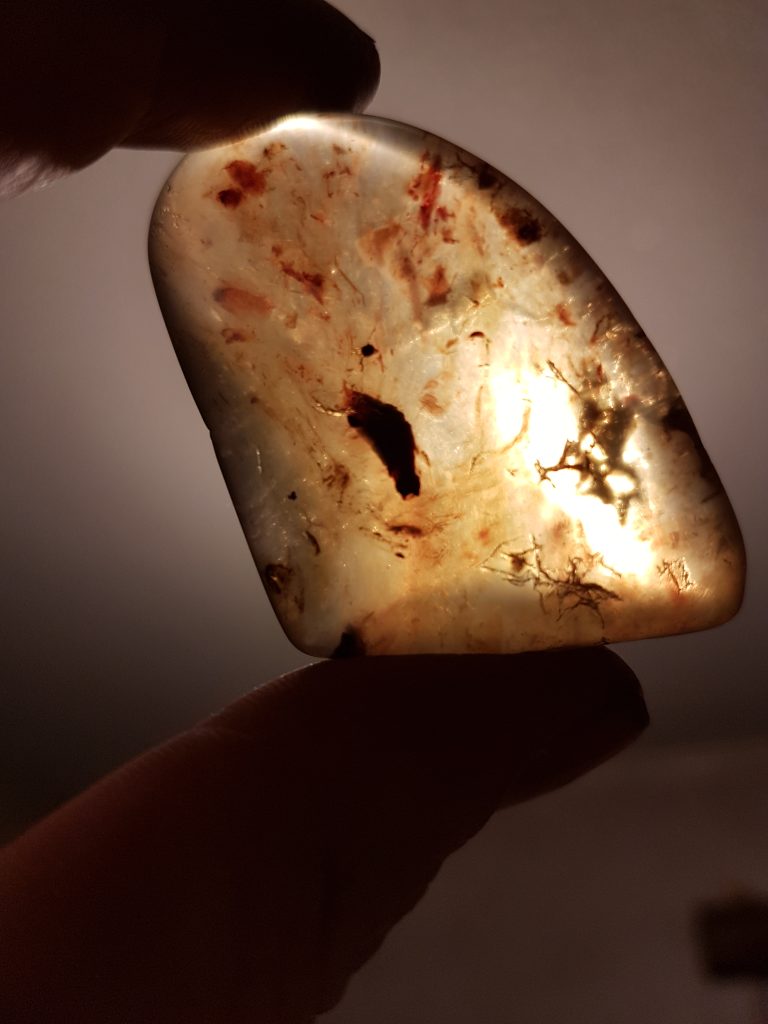 clear kauri gum with red blotches and insect inclusion