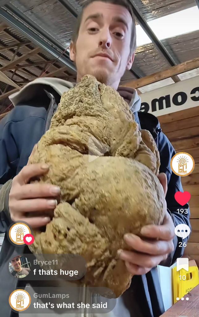 GumLamps founder, Cam