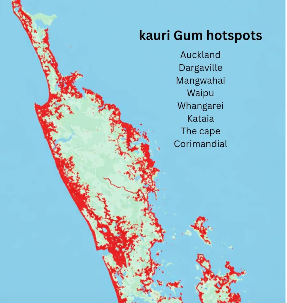 Kauri Gum Facts Hotspots