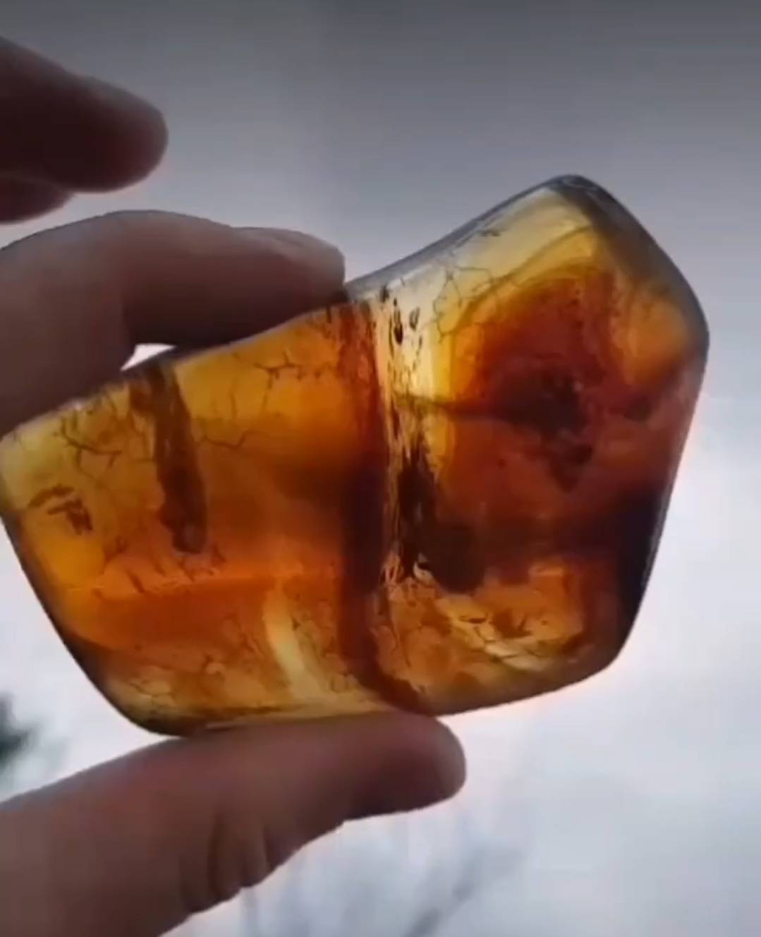 Identifying Kauri Gum